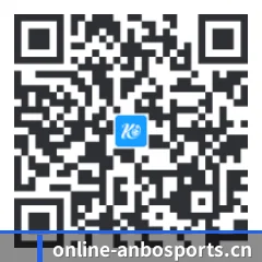 系统版 iOS 二维码
